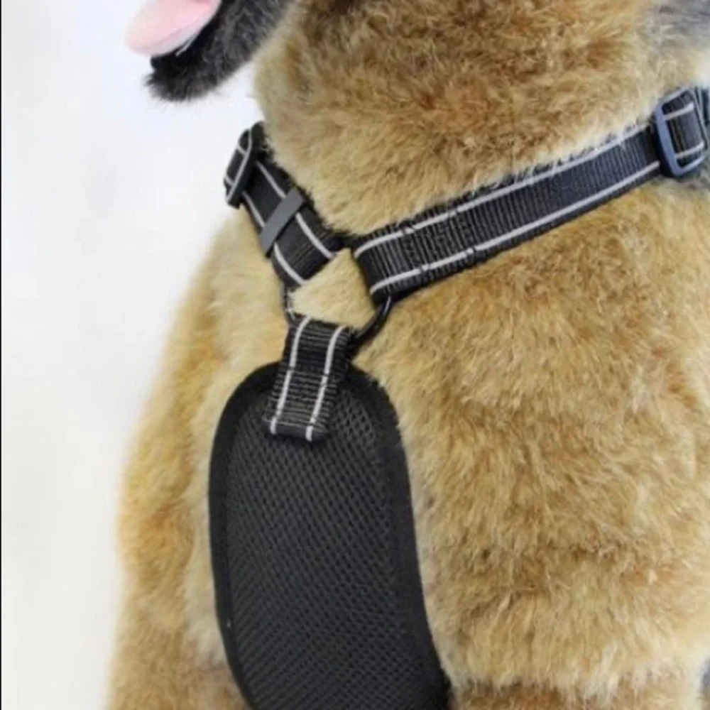 Adventure Dog Harness with Reflective Stitching & Mesh Padding By Alcott (XS)